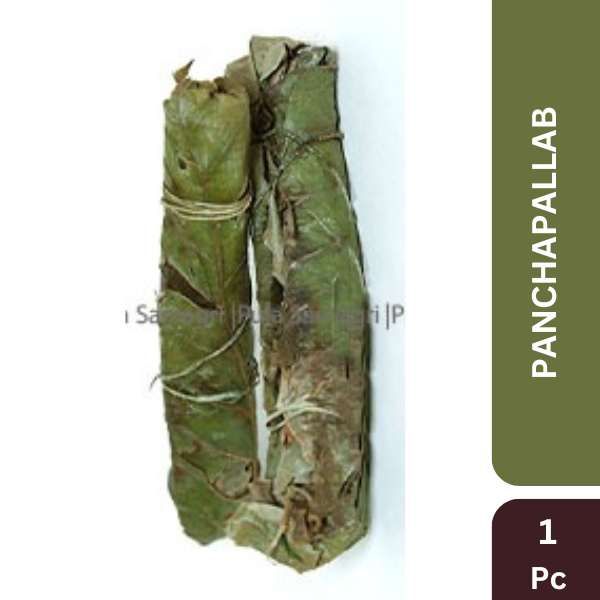 PanchaPallab, 1Pc