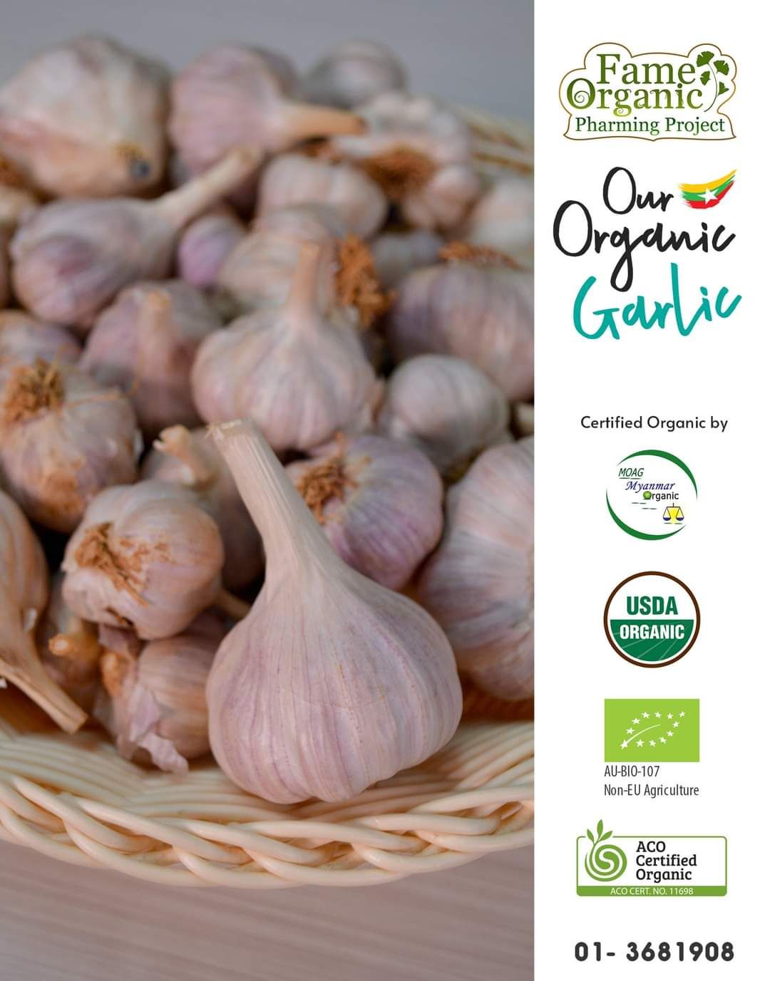 Fame_Garlic (ကြက်သွန်ဖြူ)