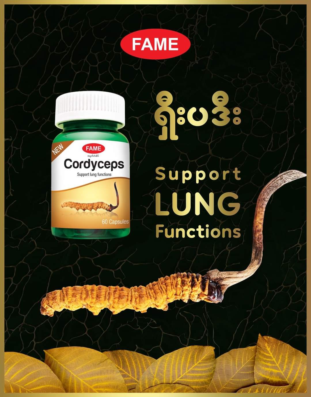 Fame_Cordyceps (ရှီးပဒီးဆေး)