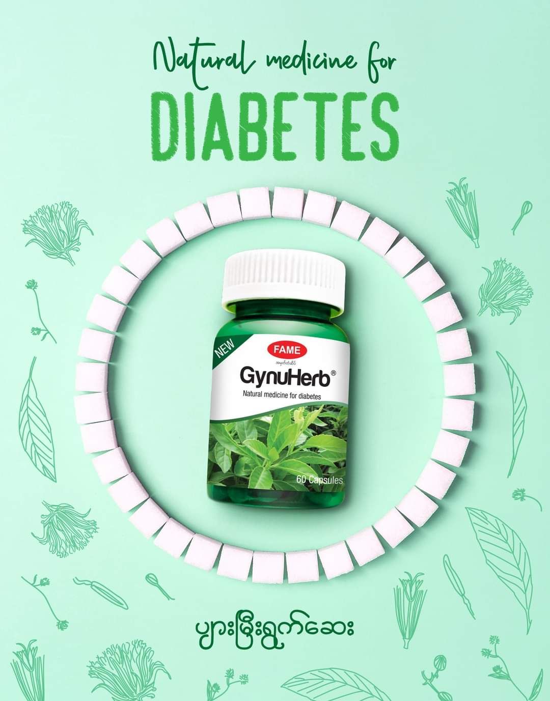 Fame_GynuHerb (ပျားမြီးရွက်ဆေး) 