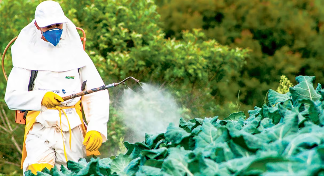 Pesticides et herbicides