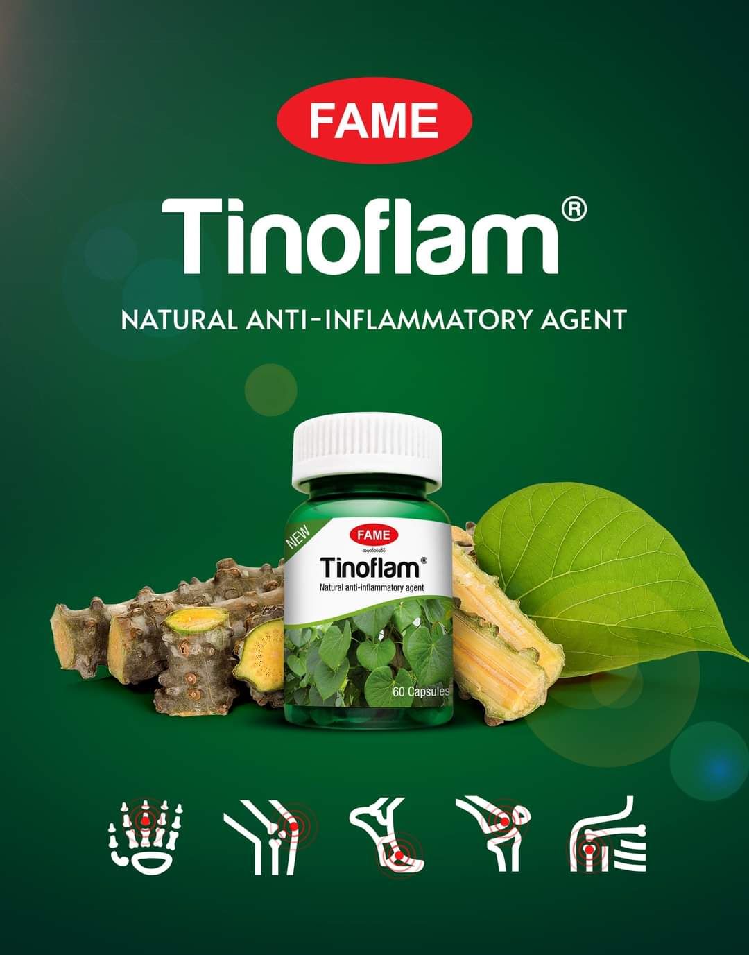 Fame_Tinoflam (ဆင်တုံးမနွယ်ဆေး)