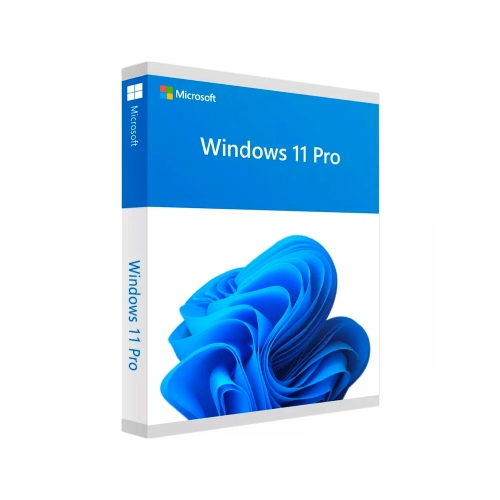 Windows 11 Pro