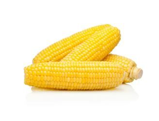 Sweet Corn