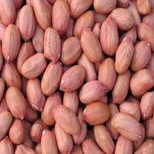 Unshelled groundnuts