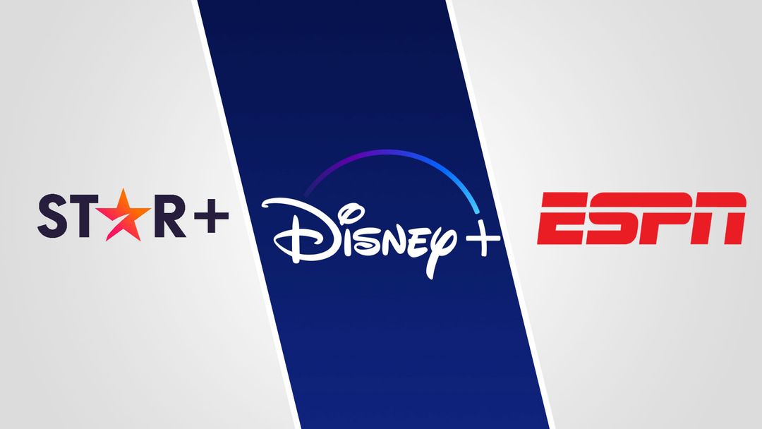 Disney+ , ESPN & STAR Shared Account (2 Devices)