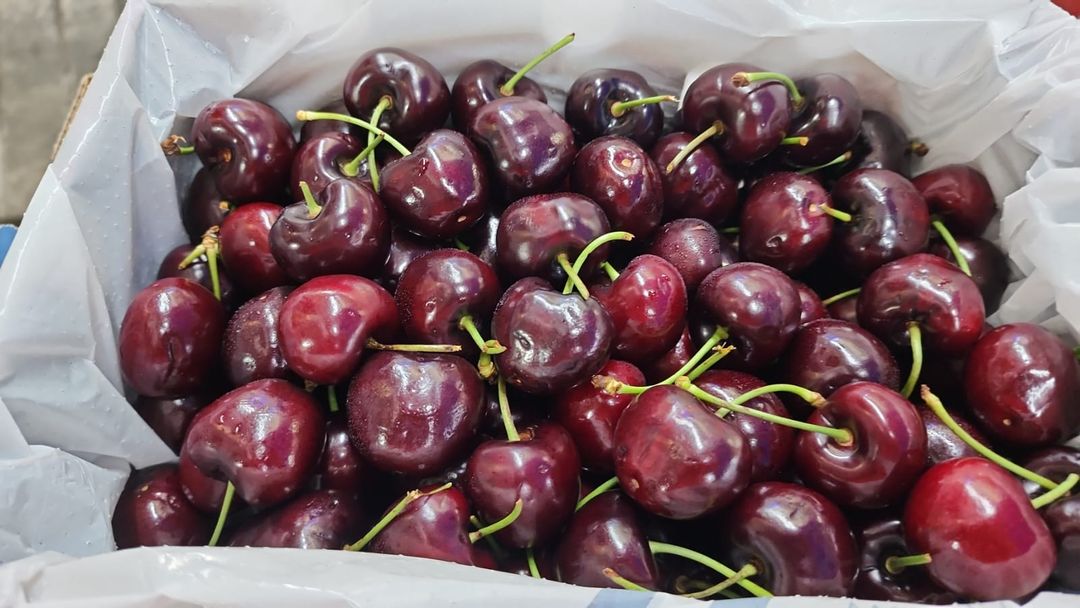 AUS Wanding valley Satina Cherries (~32-34mm) 