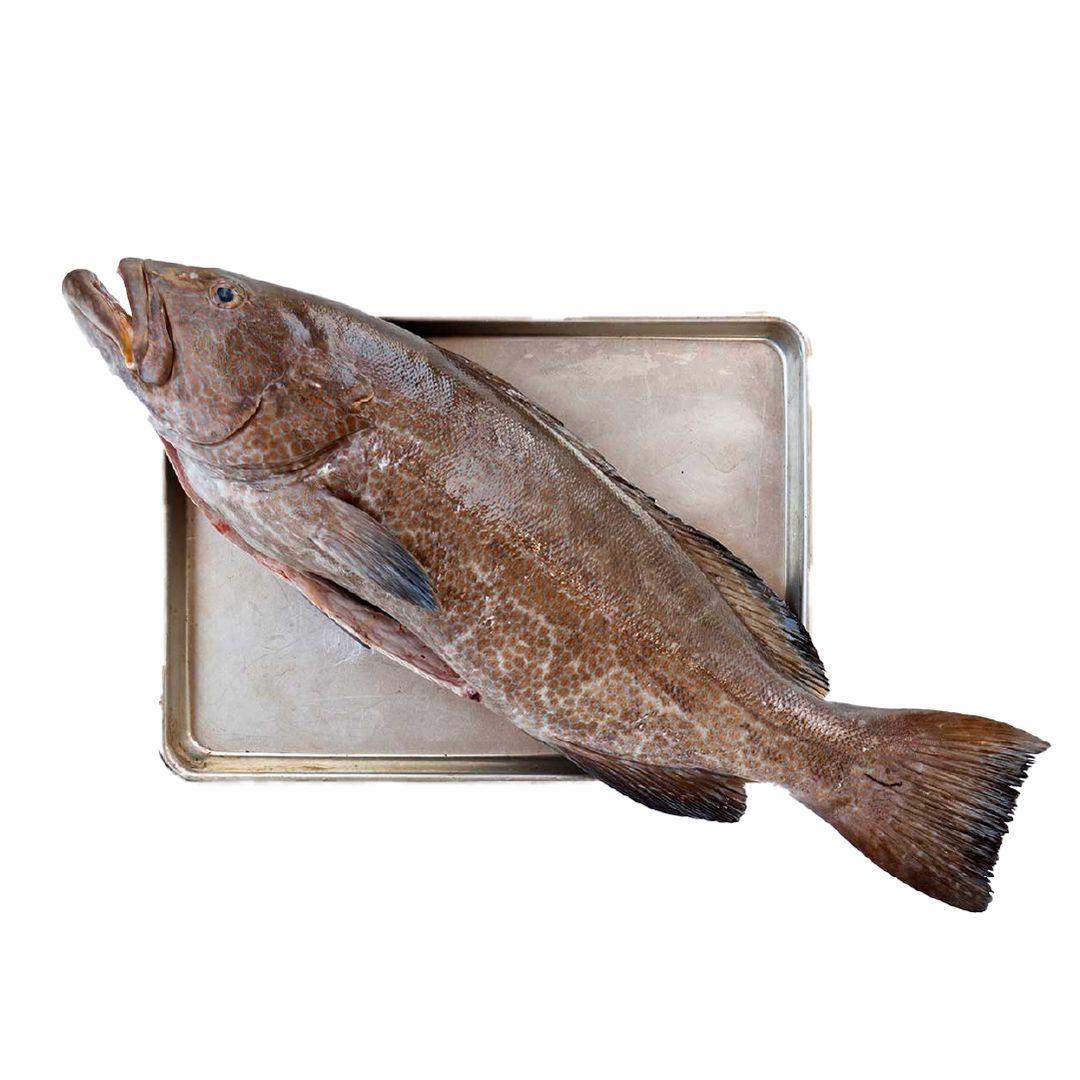 Groupers 1Kg