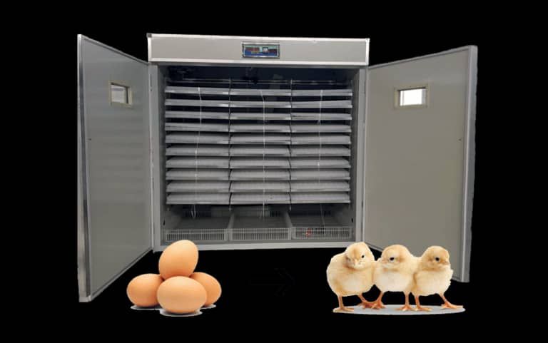 Eggs Incubator / Hatcher