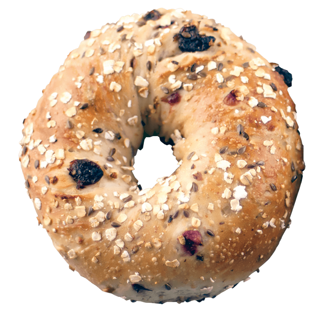 Cranberry Oat Bagels