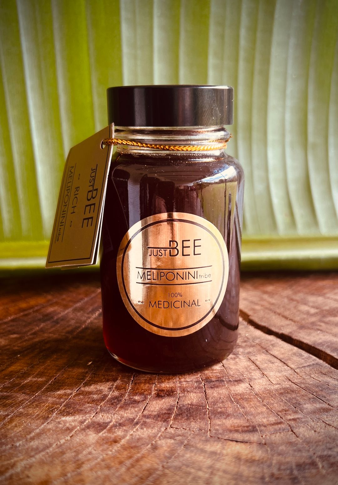 Stingless Bee Honey 'Rich'