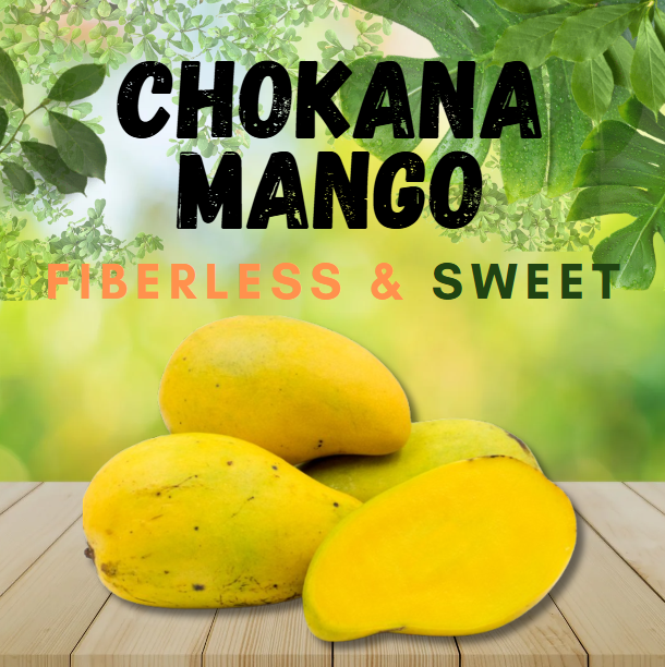 CHOKANA MANGO