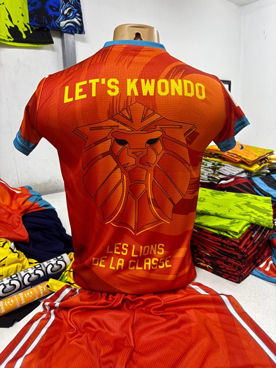 Ensemble Les Lions de La Classe pour Taekwondo