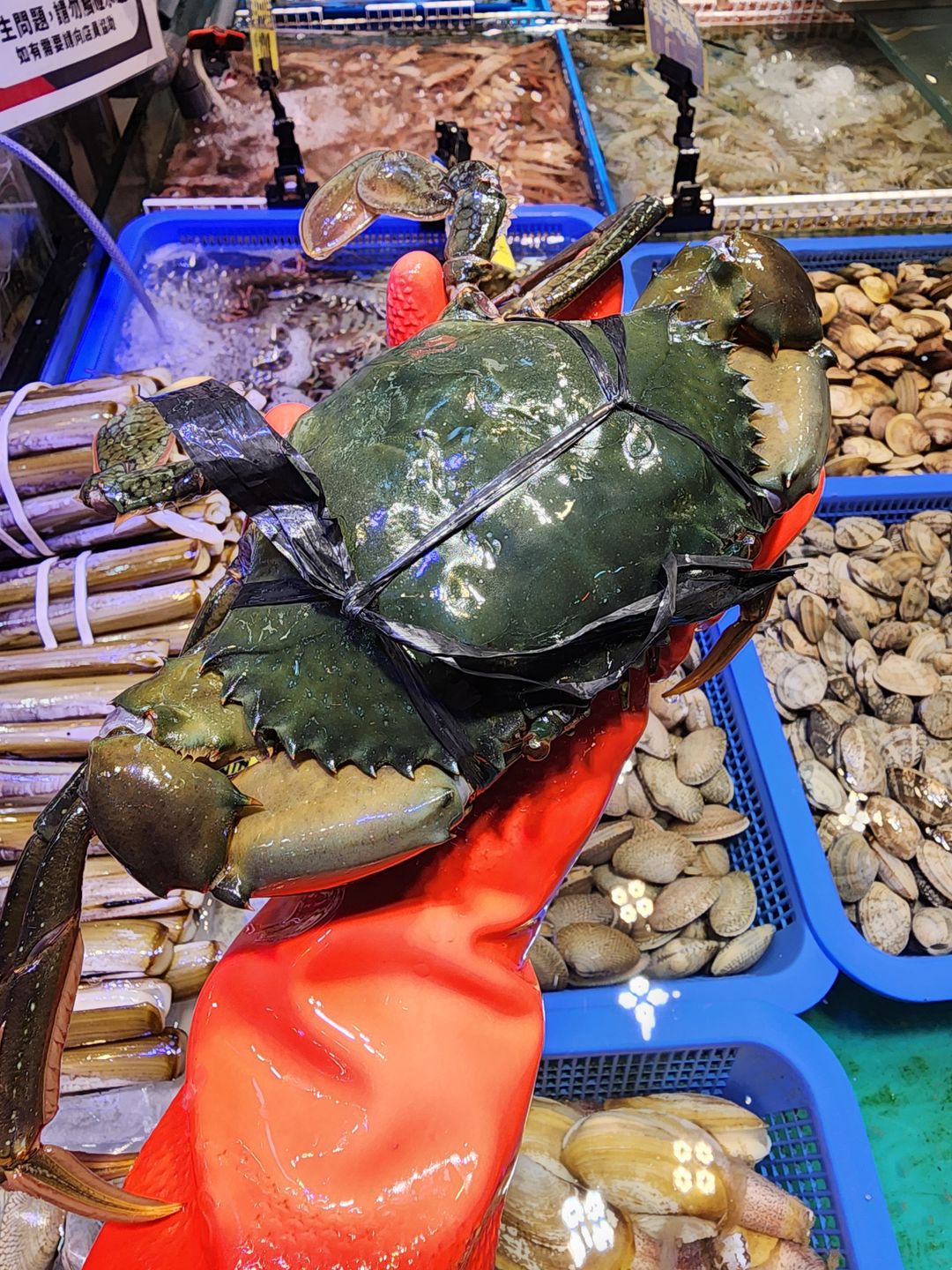肉蟹🦀(隻)（約10-11兩）
