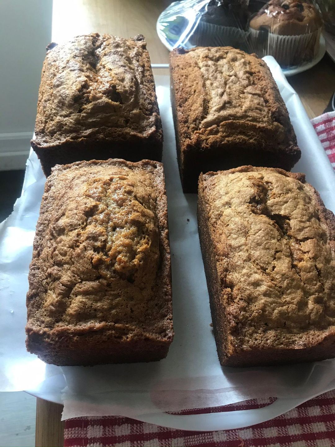Carrot Cake / Vanilla Cake