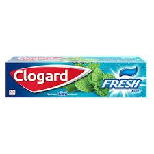 CLOGARD FRESH MINT 120G (FLUORIDATED GEL TOOTHPASTE)