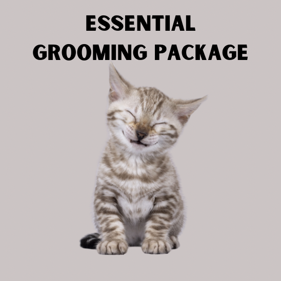 Essential Grooming Package 