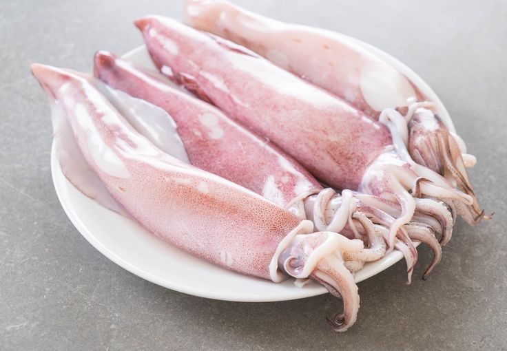 Calamars 🦑