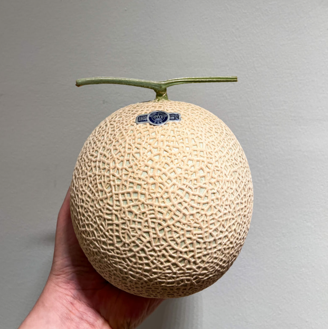 Crown Melon (Shizuoka) | クラウンメロン 静岡 (With Gift Box)