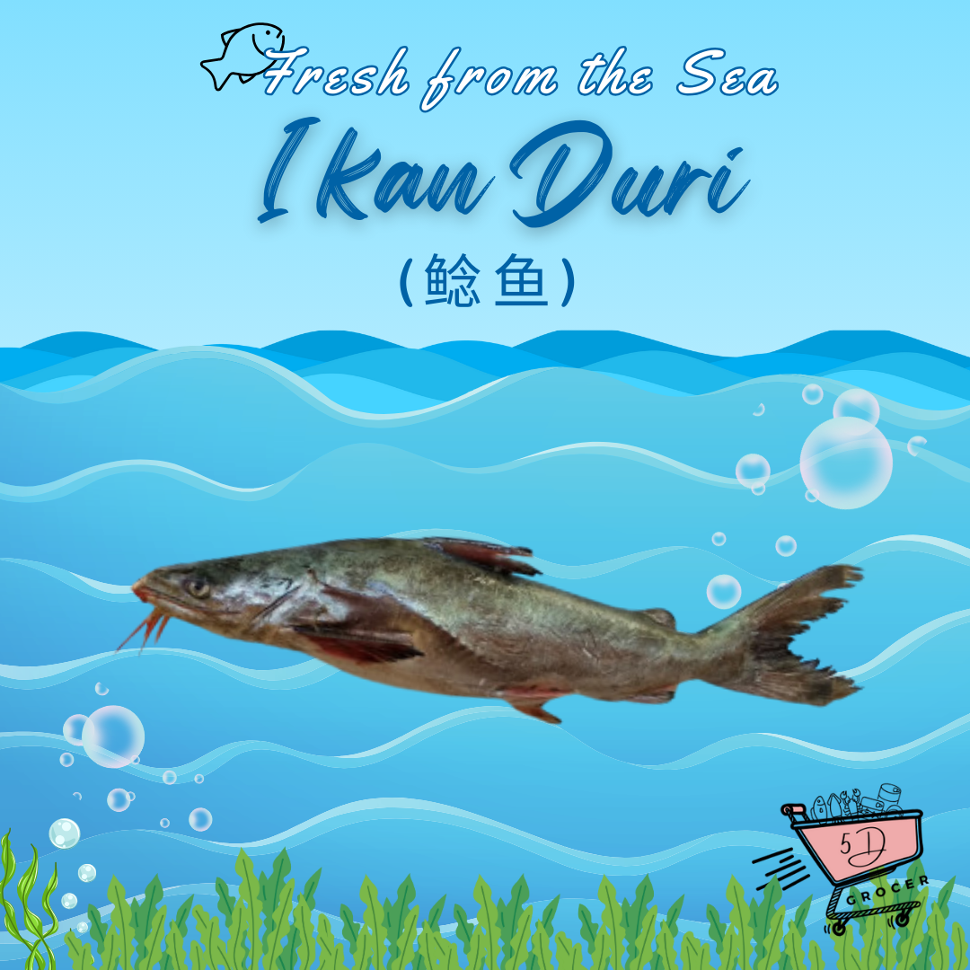 Fresh Ikan Duri (500g - 2Kg)