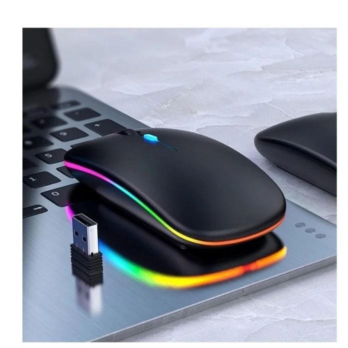 Souris Sans fil rechargeable 2.4 G