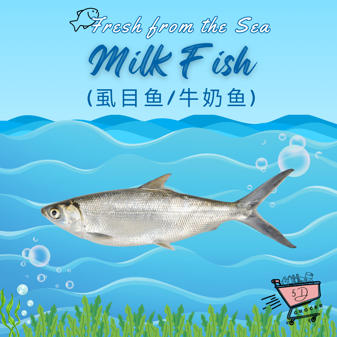 Fresh Milk Fish 虱目鱼/牛奶鱼 600g - 1.4Kg