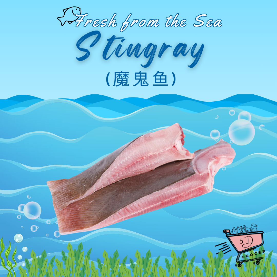 Fresh Stingray Pari 魔鬼鱼 400g/1.1kg