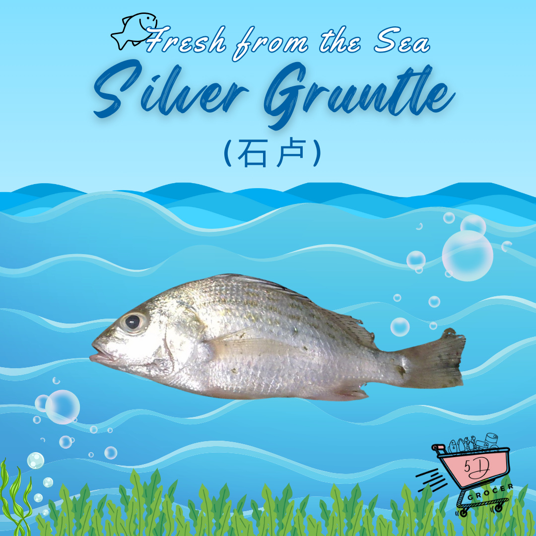 Fresh Silver Gruntle 石卢 500g/1Kg