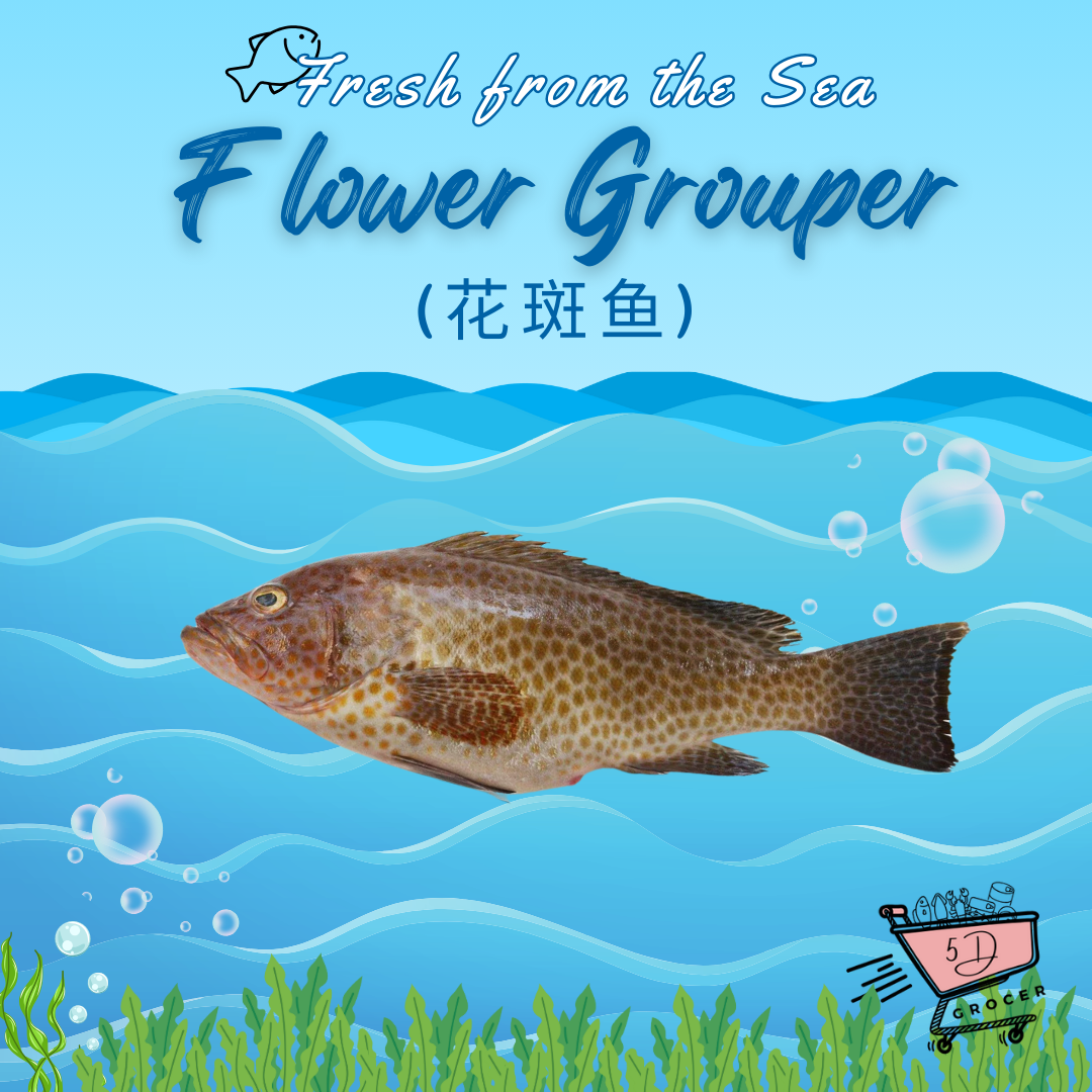 Fresh Flower Grouper 花斑鱼 450g - 1Kg