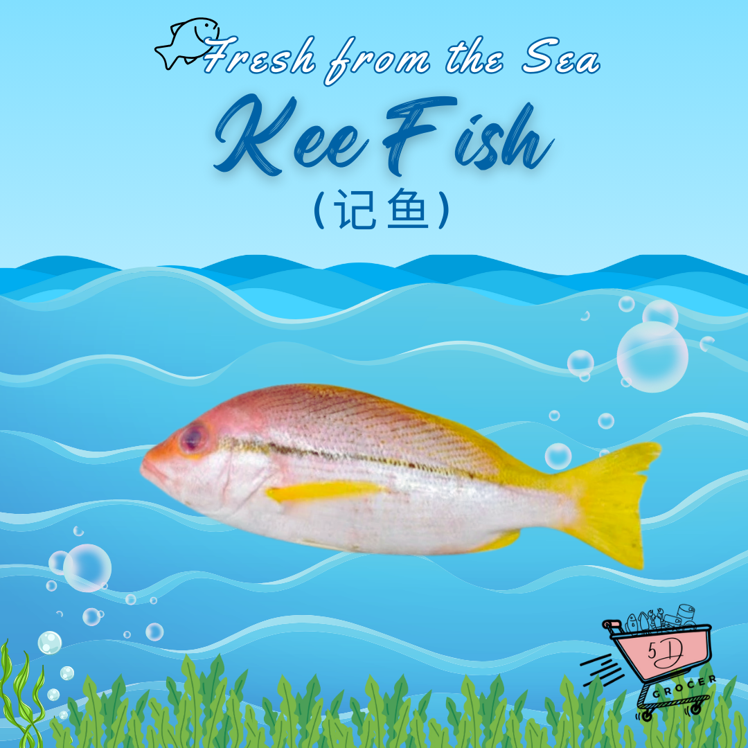 Fresh Kee Fish 记鱼 500g/1kg