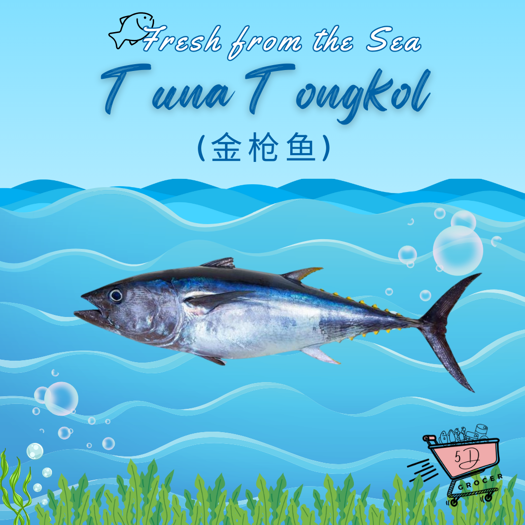 Fresh Tuna Ikan Tongkol 金枪鱼 900g-2kg (Steak)