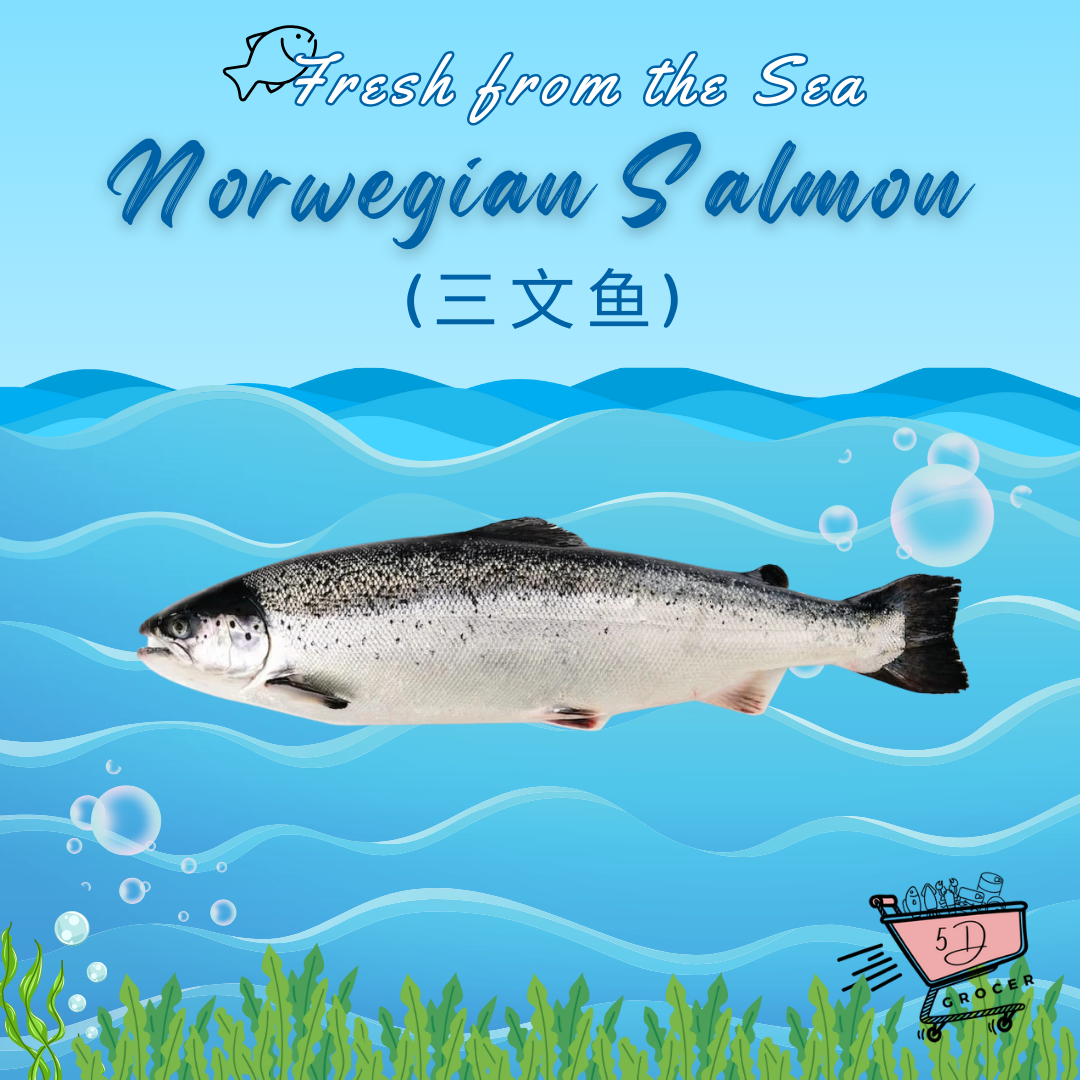 Fresh Norwegian Salmon