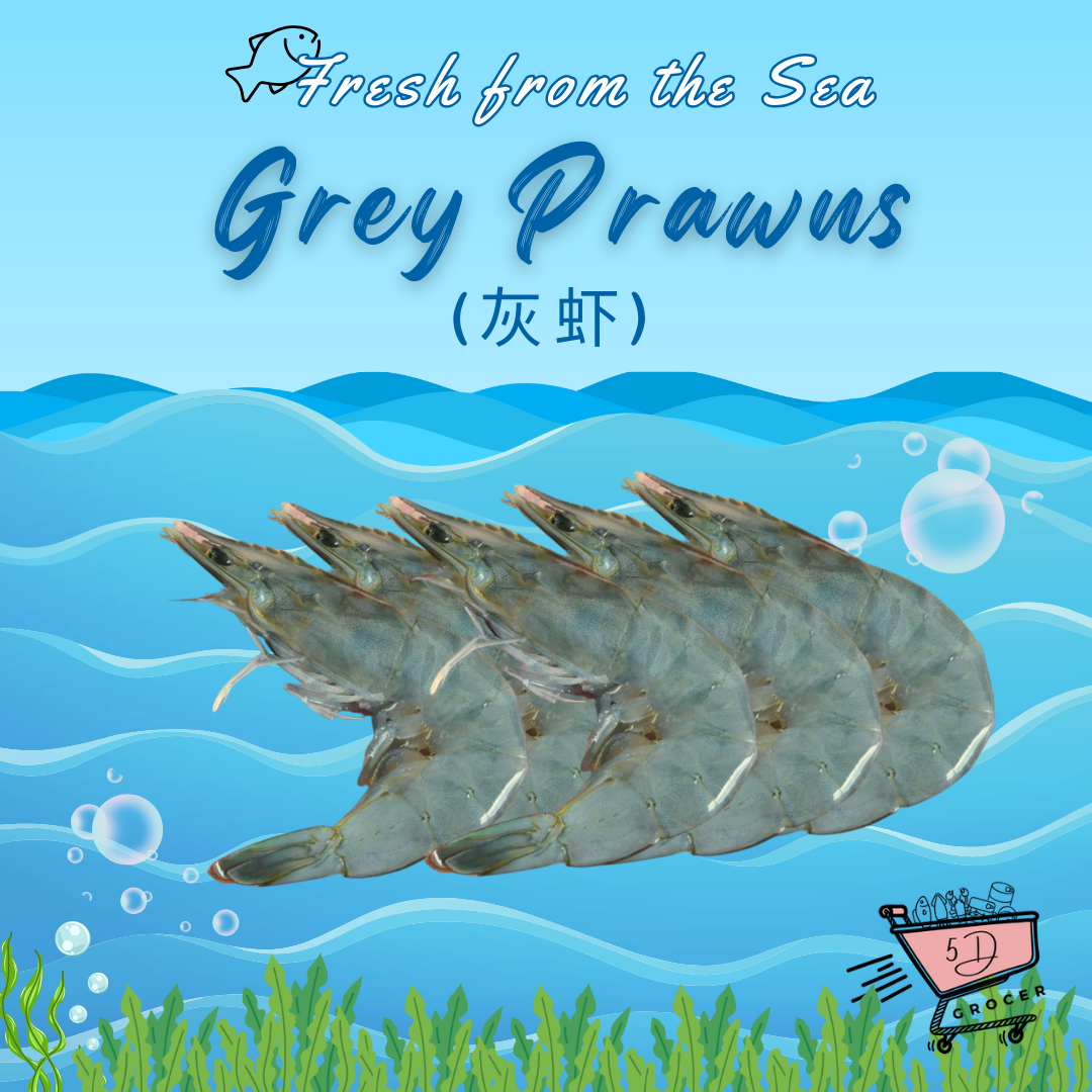 Fresh Grey Prawns 灰虾 (500g)