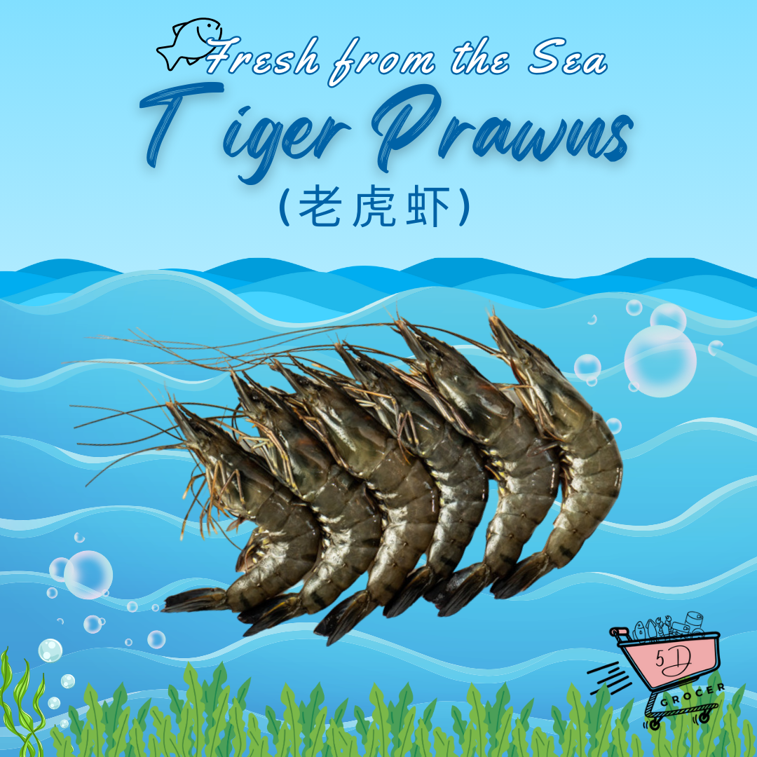 Fresh Tiger Prawns 老虎虾 (500g)