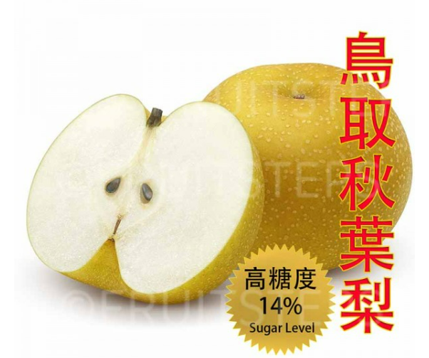 Japan Tottori Hosui Pear (L)(High Sweetness) (1 pcs)