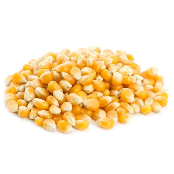 Jagung Biji (Grade B) 20kg