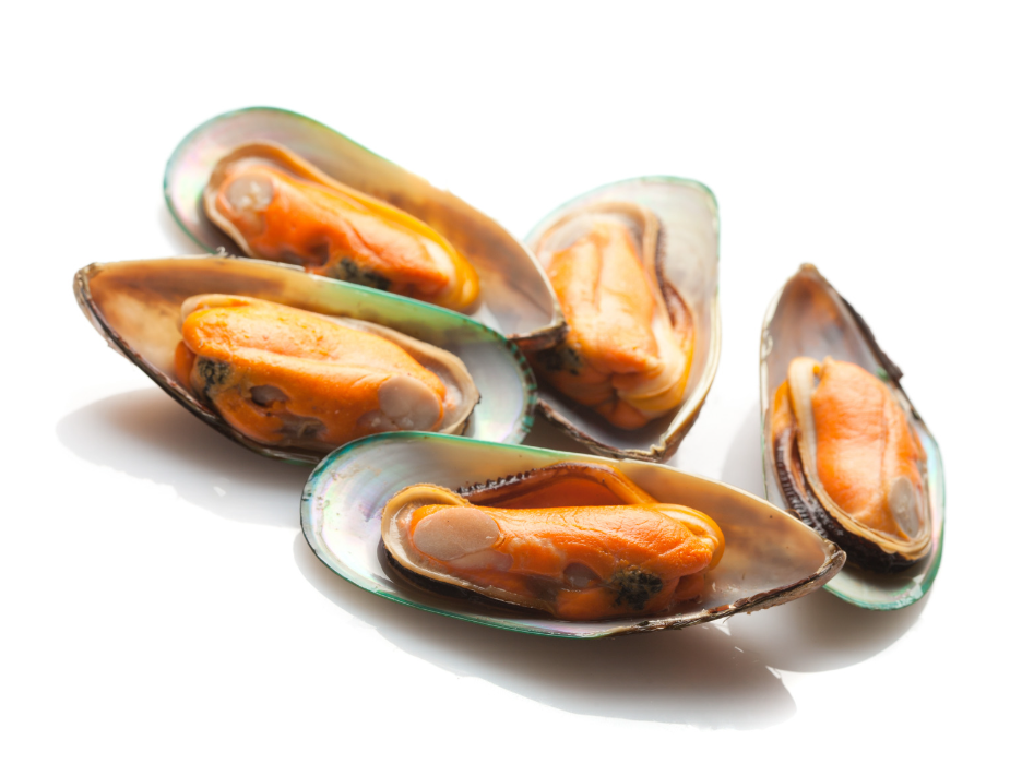 NZ Half Shell Mussels (800g - 900g)