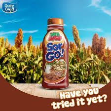 Dairy go Sor go 12x500ml