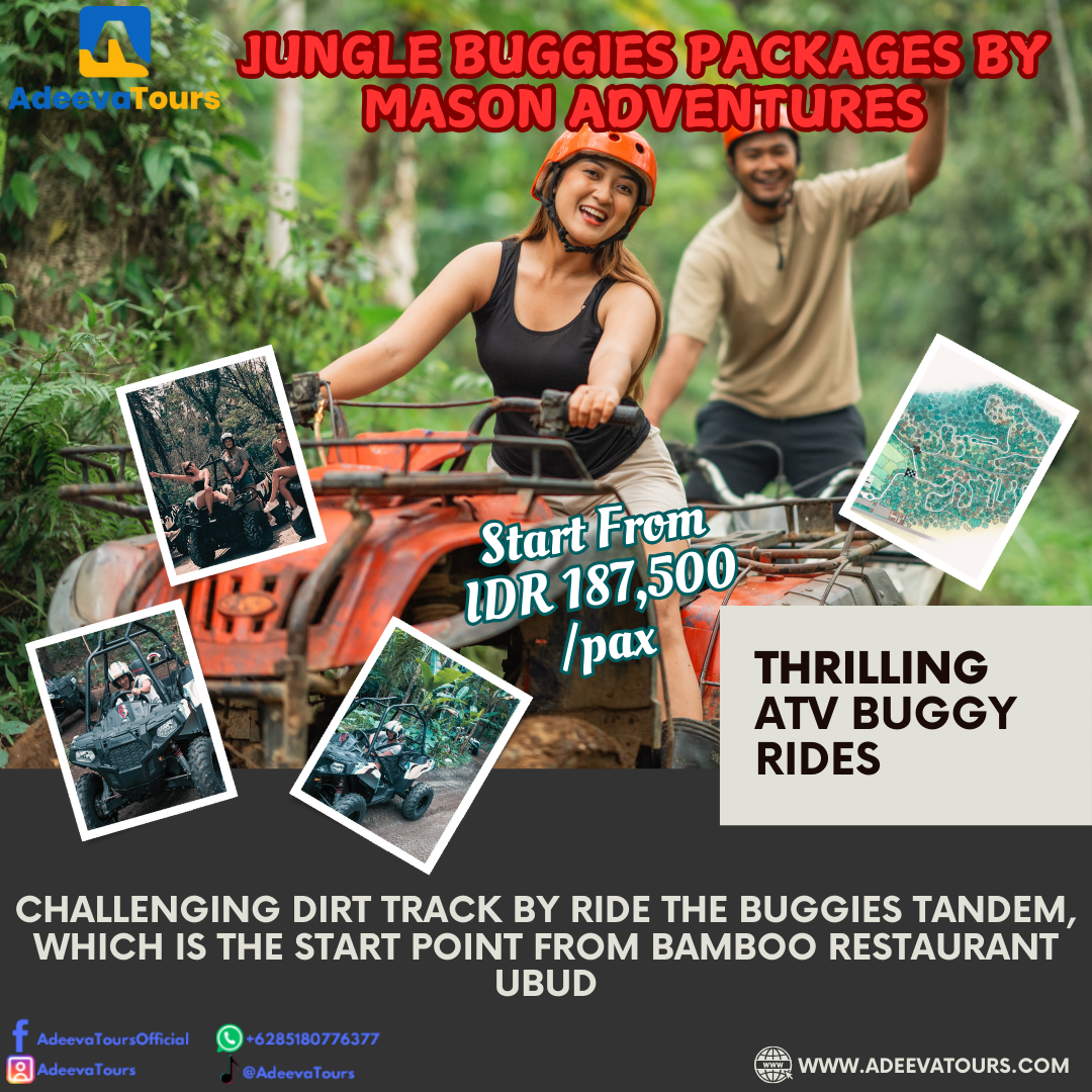 Jungle Buggies Packages by Mason Adventures