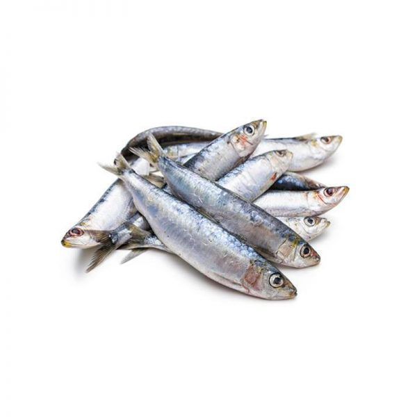 Hurullo (Trenched Sardinella)