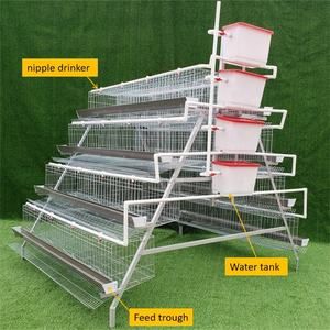 A-type 128 birds layer chicken cage