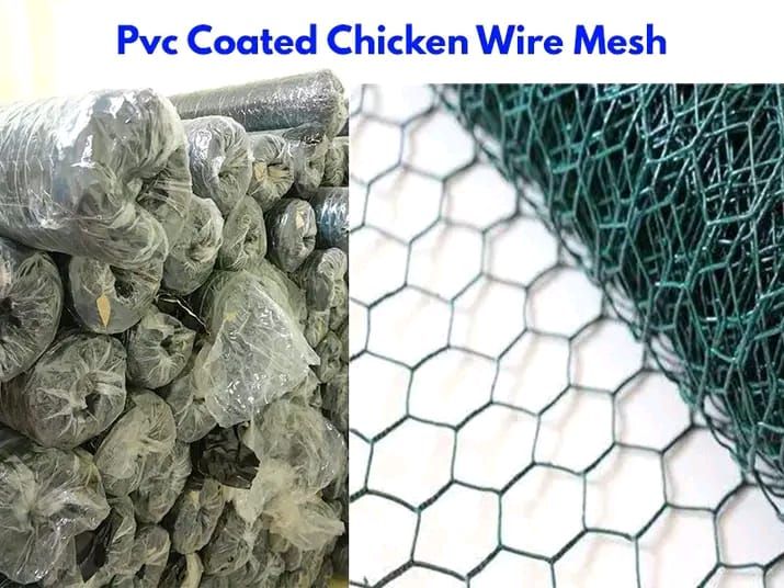 Green Coated chicken wire