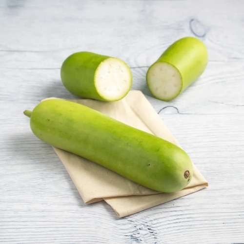 Bottle Gourd (Surakkaai) 1 pc (Approx. 600G - 1.2KG)