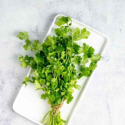 Coriander Leaves (Koththamalli) 1 Bunch 80g - 100gm