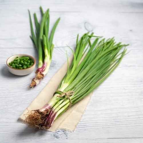 Spring Onion 1 Bunch 220-250gm