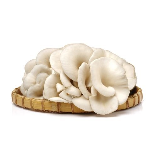 Oyster Mushroom (Chippi Kaalan) 150 g