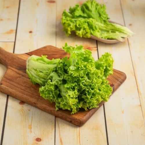 Lettuce Green 100 g