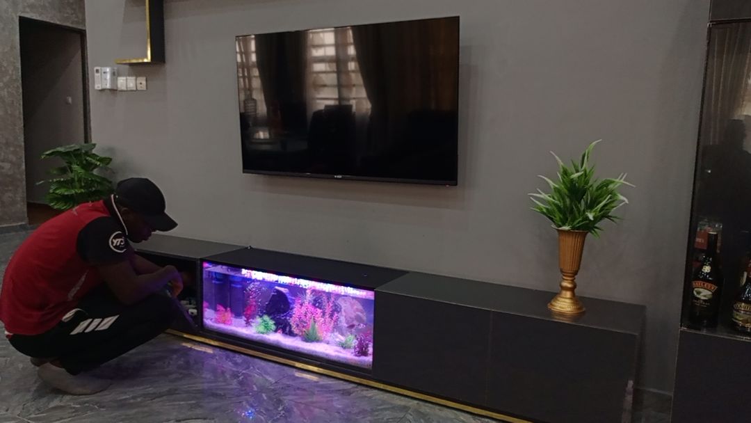 Aquarium pose tv