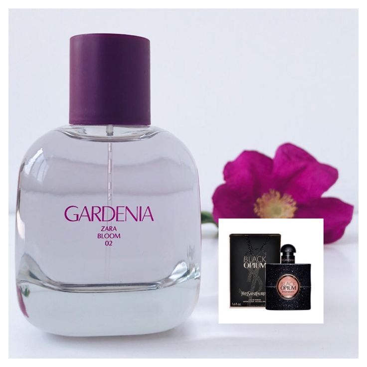 Parfum Zara Gardenia 90 ml