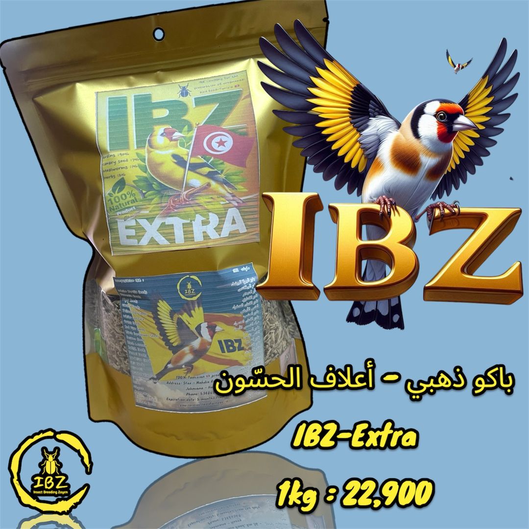 IBZ-Extra